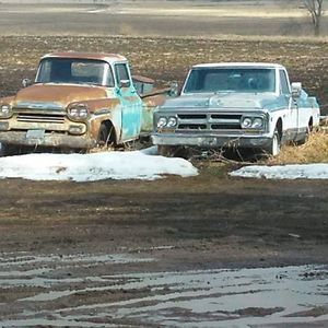 Meet your Posher, Lynn